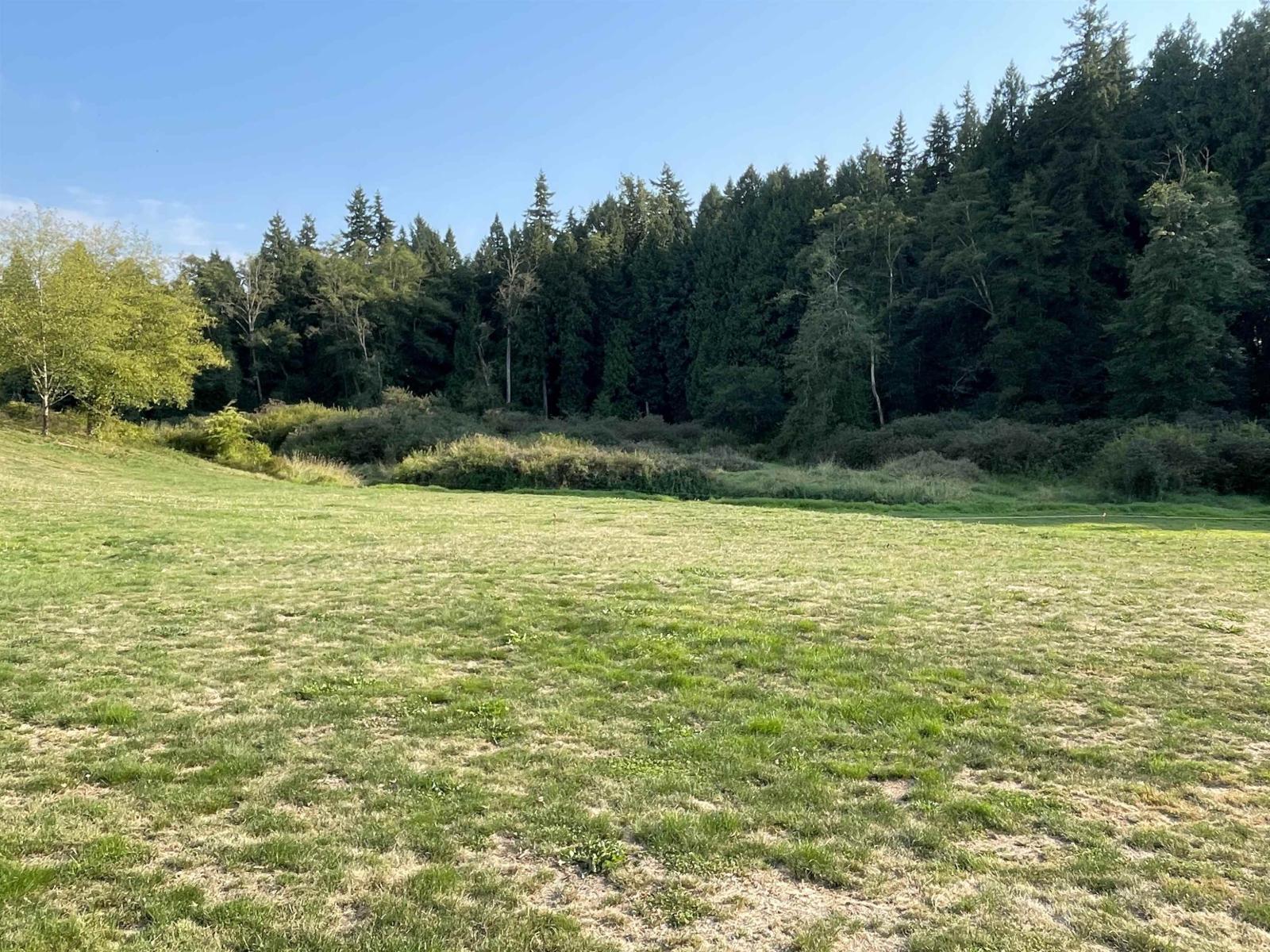 17384 8 Avenue, Surrey