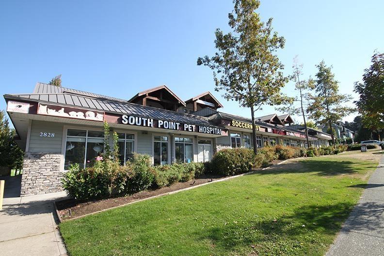 203 2828 152 Street, Surrey