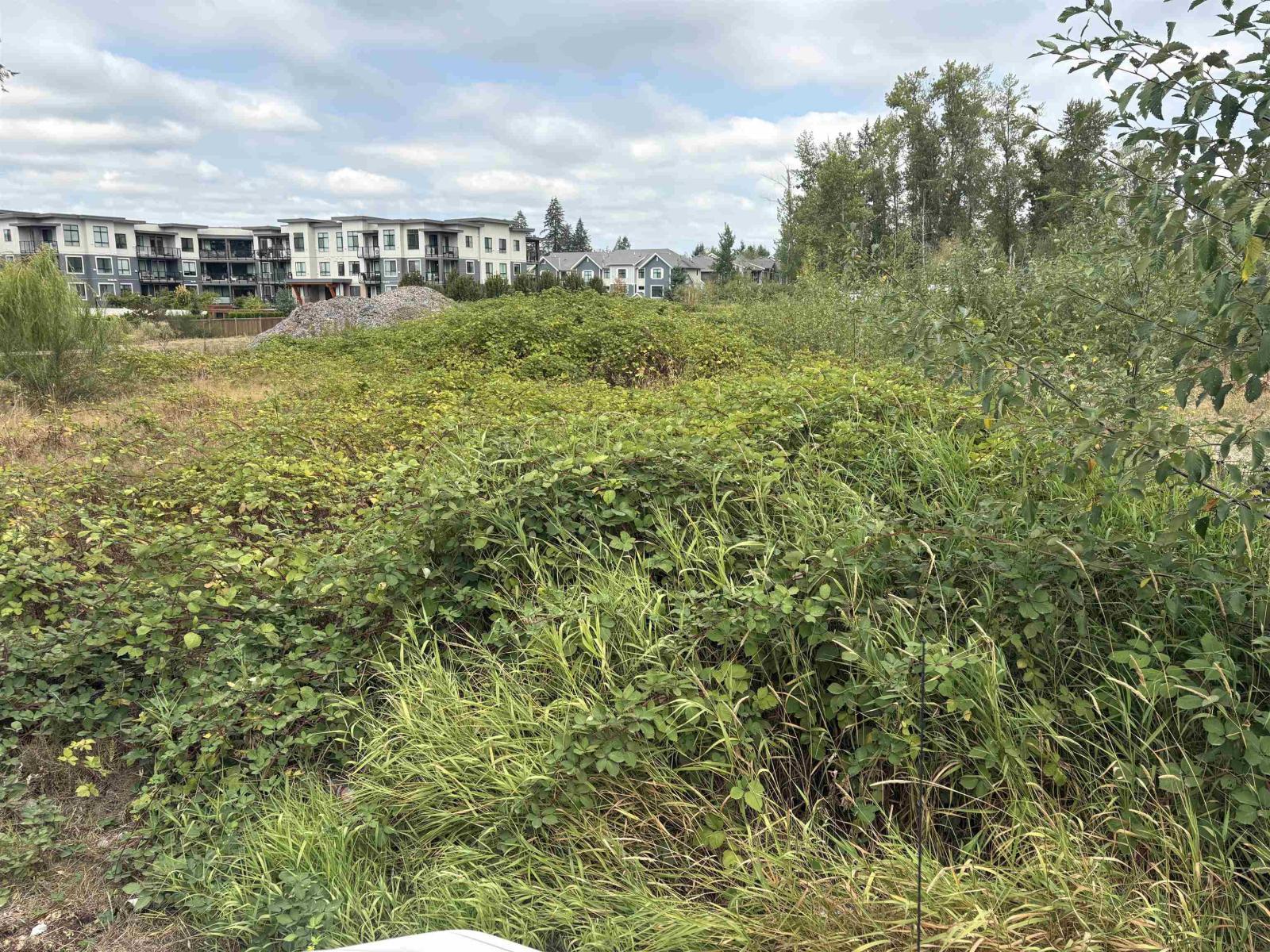 7235 204 Street, Langley