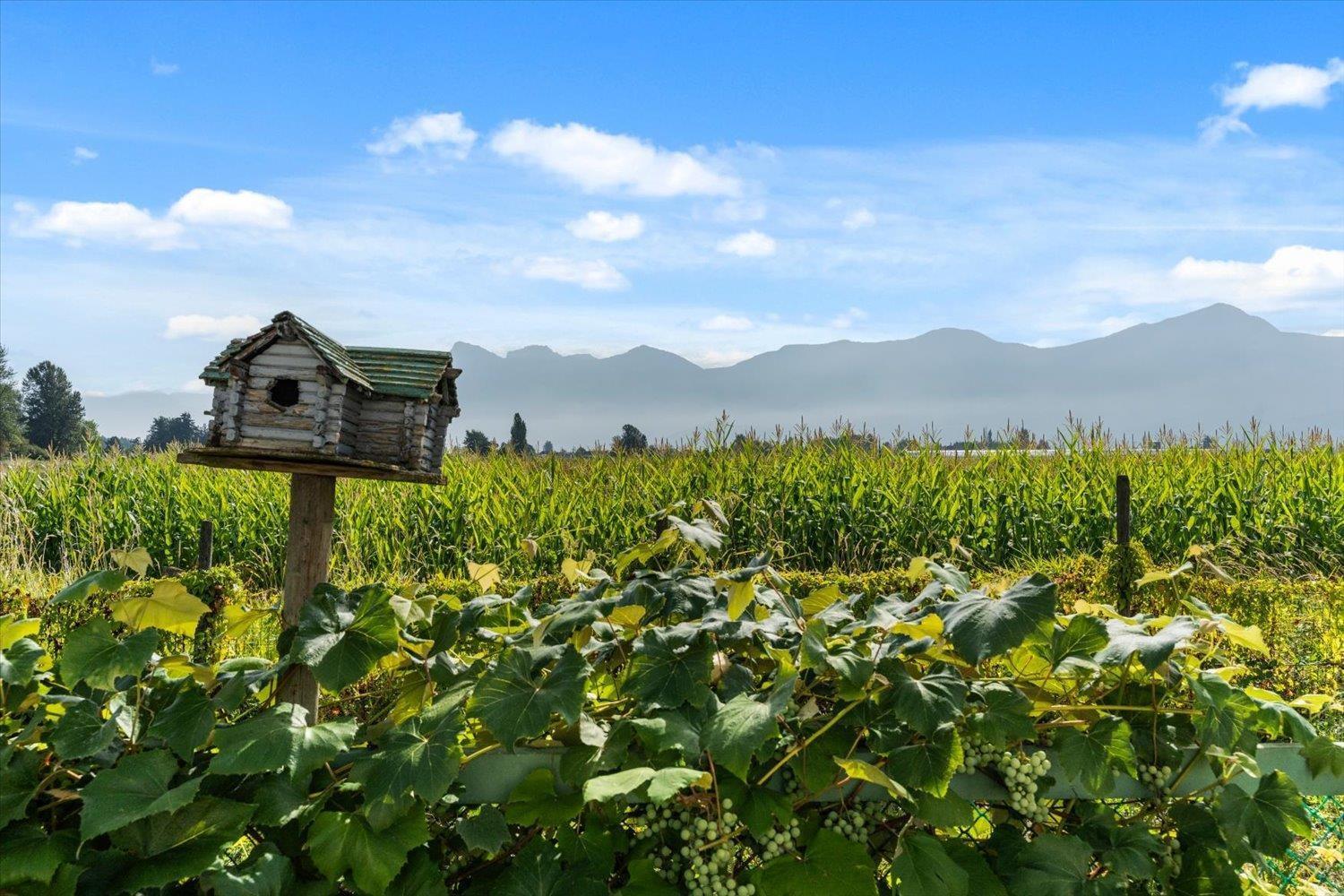 46702 Arbutus Avenue, Chilliwack
