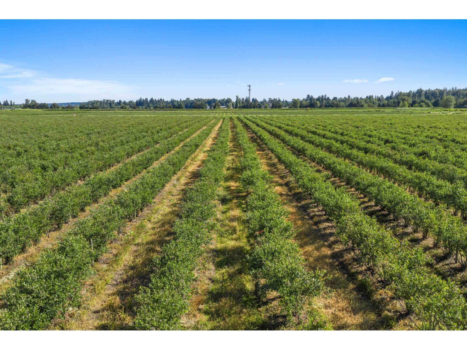 15683 64 Avenue, Surrey